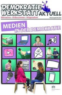 MEDIEN IN DER DEMOKRATIE - Demokratiewebstatt