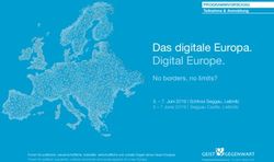 Das digitale Europa. Digital Europe - No borders, no limits? - Pfingstdialog
