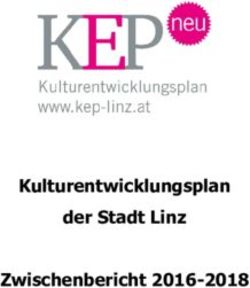 Kulturentwicklungsplan der Stadt Linz Zwischenbericht 2016-2018