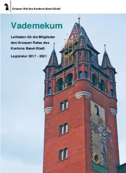 Vademekum - Kanton Basel-Stadt