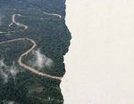 Kupfer aus dem Amazonas-regenwald der indigenen Shuar - Mirador-Mine in Ecuador