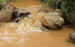 Kupfer aus dem Amazonas-regenwald der indigenen Shuar - Mirador-Mine in Ecuador