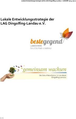 Lokale Entwicklungsstrategie der LAG Dingolfing-Landau e.V