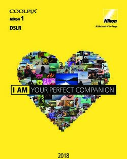 I AM YOUR PERFECT COMPANION 2018 - DSLR - blende7