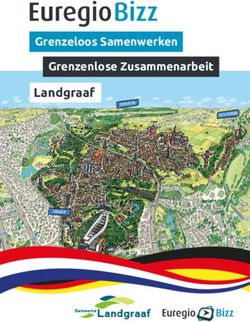 Landgraaf Grenzeloos Samenwerken Grenzenlose Zusammenarbeit - Euregiobizz