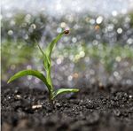 CROSS COMPLIANCE 2015 - MERKBLATT Einhaltung anderweitiger Verpflichtungen - AgrarCommander