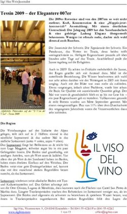 Tessin 2009 - der Elegantere 007er - Wein-News SigiHiss