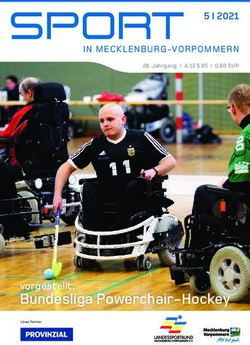 SPORT - Bundesliga Powerchair-Hockey vorgestellt: LSB MV