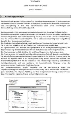 Vorbericht zum Haushaltsplan 2020 - Gemeinde ...
