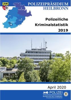 Polizeiliche Kriminalstatistik 2019 - April 2020