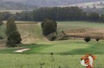 Weck den Tiger in Dir - Golf-Tipps f&uuml;r Einsteiger verst&auml;ndlich kompakt und v&ouml;llig umsonst