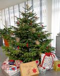 Gedenken am Totensonntag - Gemeinde Aidlingen