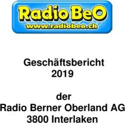 Gesch&auml;ftsbericht 2019 der Radio Berner Oberland AG 3800 Interlaken
