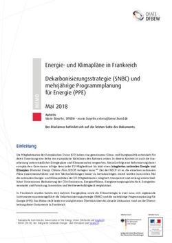 Energie- und Klimapl&auml;ne in Frankreich Dekarbonisierungsstrategie (SNBC) und mehrj&auml;hrige Programmplanung f&uuml;r Energie (PPE) Mai 2018 - DFBEW