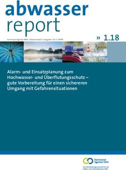 Report " 1.18 - Kommunal Agentur NRW