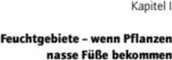 Feuchtgebiete - wenn Pflanzen nasse F&uuml;&szlig;e bekommen