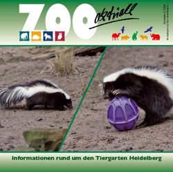 Informationen rund um den Tiergarten Heidelberg