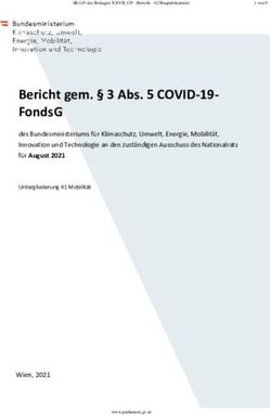 Bericht gem. 3 Abs. 5 COVID-19- FondsG - &Ouml;sterreichisches ...