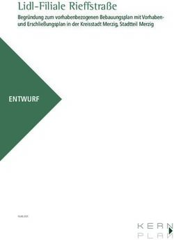 Lidl-Filiale Rieffstra&szlig;e - ENTWURF - Kreisstadt Merzig