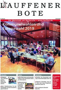 Kommunalwahlen und Europawahl 2019 - Lauffen am Neckar