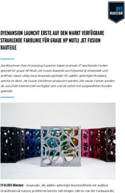 DYEMANSION LAUNCHT ERSTE AUF DEM MARKT VERF&Uuml;GBARE STRAHLENDE FARBLINIE F&Uuml;R GRAUE HP MUTLI JET FUSION BAUTEILE