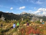 ZEN & WANDERN AUF DER TURNAUER ALM