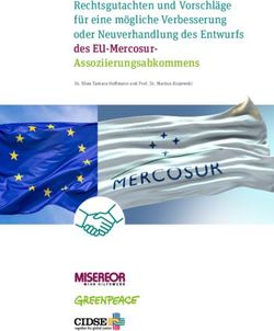 Rechtsgutachten und Vorschläge für eine mögliche Verbesserung oder Neuverhandlung des Entwurfs des EU-Mercosur-Assoziierungsabkommens - Dr. Rhea ...