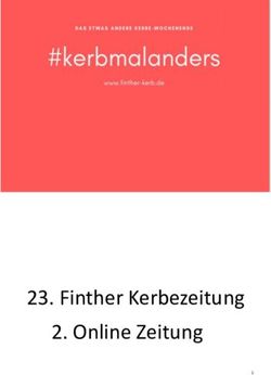 Finther Kerbezeitung 2. Online Zeitung