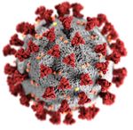 COVID-19 Impfstoffproduk5on - ein Überblick - Mag.a Renée Gallo-Daniel WKO Quality Day 2021