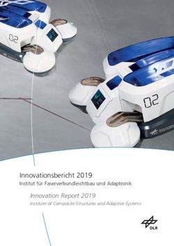 Innovationsbericht 2019 - Institut f&uuml;r Faserverbundleichtbau und Adaptronik Innovation Report 2019 - DLR