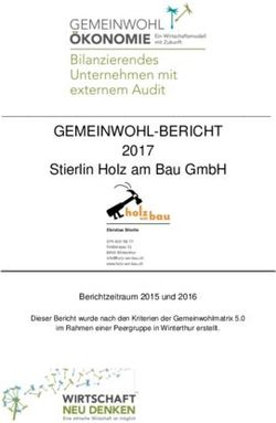 GEMEINWOHL-BERICHT 2017 Stierlin Holz am Bau GmbH - Berichtzeitraum 2015 und 2016