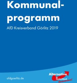 KOMMUNAL-PROGRAMM AFD KREISVERBAND G&Ouml;RLITZ 2019 - AFDGOERLITZ.DE