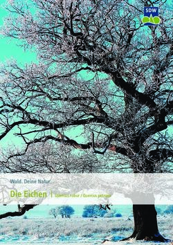 Wald. Deine Natur. Die Eichen | Quercus robur / Quercus petraea - Schutzgemeinschaft Deutscher Wald