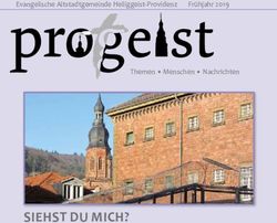 SIEHST DU MICH? - Evangelische Altstadtgemeinde Heiliggeist-Providenz Frühjahr 2019 Themen Menschen Nachrichten - Evangelische Kirche Heidelberg