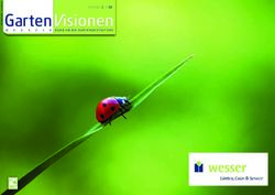 RUND UM DIE GARTENGESTALTUNG