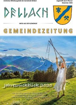 Jahresrückblick 2020 - Gemeinde Dellach