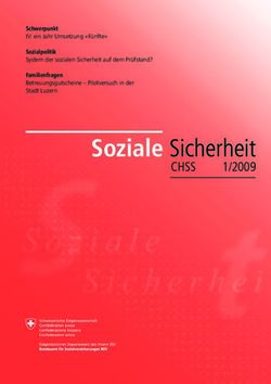 Soziale Sicherheit 1/2009 - CHSS - BSV