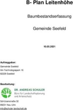 B- Plan Leitenh&ouml;he Baumbestandserfassung Gemeinde Seefeld