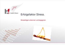 Erfolgsfaktor Stress - Stressfolgen erkennen und begegnen.