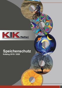 Speichenschutz Katalog 2019 / 2020 - KIK-Reifen