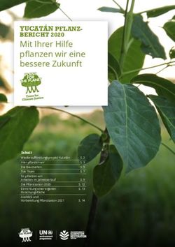 Mit Ihrer Hilfe pflanzen wir eine bessere Zukunft - YUCAT&Aacute;N PFLANZ-BERICHT 2020