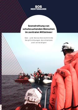 Seenotrettung von schutzsuchenden Menschen im zentralen Mittelmeer - See- und menschenrechtliche Verpflichtungen durchsetzen und verteidigen