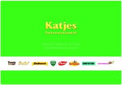 GESCHÄFTSBERICHT FÜR DEN KONZERNABSCHLUSS 2019