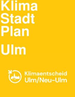 Klima Stadt Plan Ulm - Greenpeace Greenwire