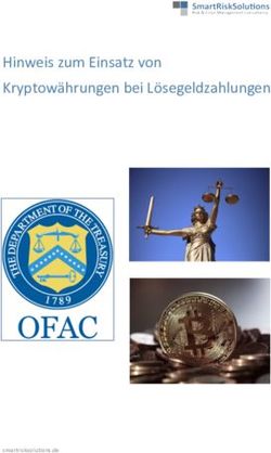 Hinweis zum Einsatz von Kryptow&auml;hrungen bei L&ouml;segeldzahlungen - smartrisksolutions.de