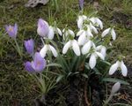 Mitteilungen Nachrichten - der Pfarreiengemeinschaft Aidhausen - Riedbach vom 01.02.2020 03.04.2020 - Gemeinde Riedbach
