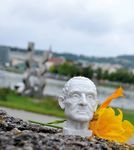 LINZ.VER&Auml;NDERT, Gruppenreisen