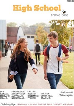 High School - Auch nach der Matura möglich! Einführungstage: NEW YORK CHICAGO LONDON PARIS TORONTO AUCKLAND - TravelBee