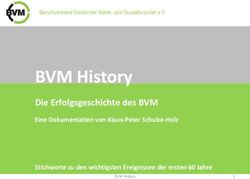 BVM History Die Erfolgsgeschichte des BVM - Eine Dokumentation von Klaus-Peter Schulze-Holz