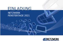 EINLADUNG NETZWERK FENSTERTAGE 2021 - Netzwerk Frey